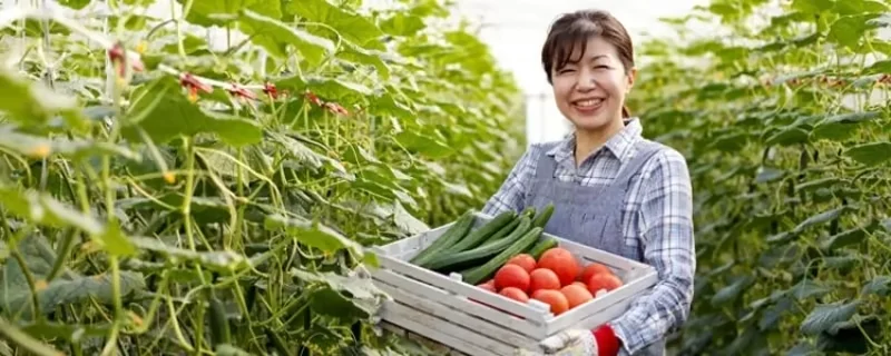 Làm việc trong nông nghiệp
